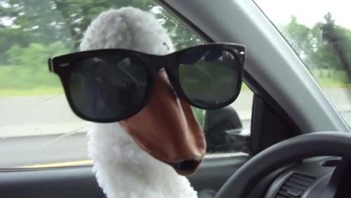 photo-26017.jpg?_r=1500381141